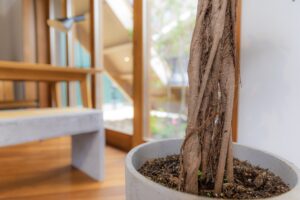 冬の乾燥を防ぐ家。木繊維断熱材「シュタイコゼル」の“調湿”効果とは？